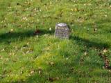 image of grave number 914482